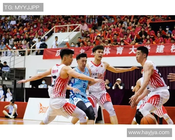 西安篮球队在联赛中的技术表现分析与未来发展展望