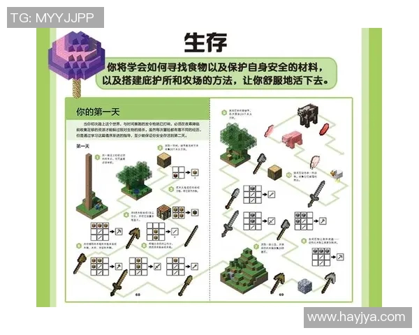 赵芳的DOTA2人生深度对话探索她的游戏热情与成长历程