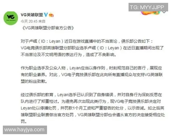 王者荣耀深度解析：TES战队团队协作背后的秘密与策略探讨