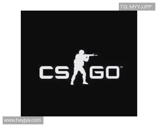CSGO新手必看：团队配合与战术入门全攻略