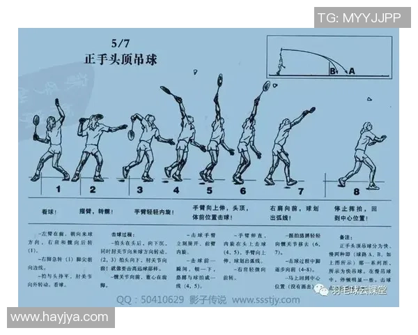 上海羽毛球队整体压制战术解析与实战应用探讨 上海羽毛球队整体压制战术解析与实战应用探讨