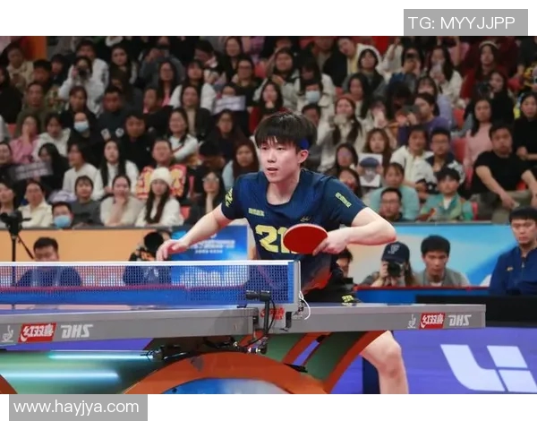 乒乓球耐力排行榜揭晓上海乒乓球队荣获第五名的佳绩引发关注