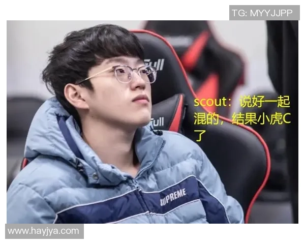 深入探讨EDG战队在比赛中的技术表现与数据分析结果