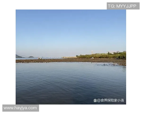 山与MIfc的对决探索自然与科技的交融之美