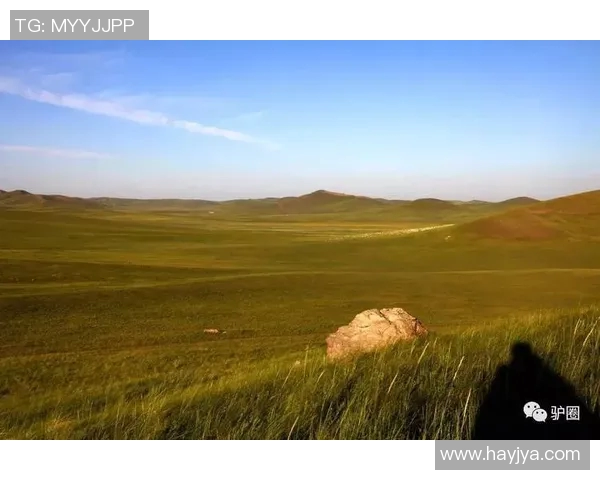 马力克的传奇人生与不屈精神在时代洪流中的启示与反思 马力克的传奇人生与不屈精神在时代洪流中的启示与反思