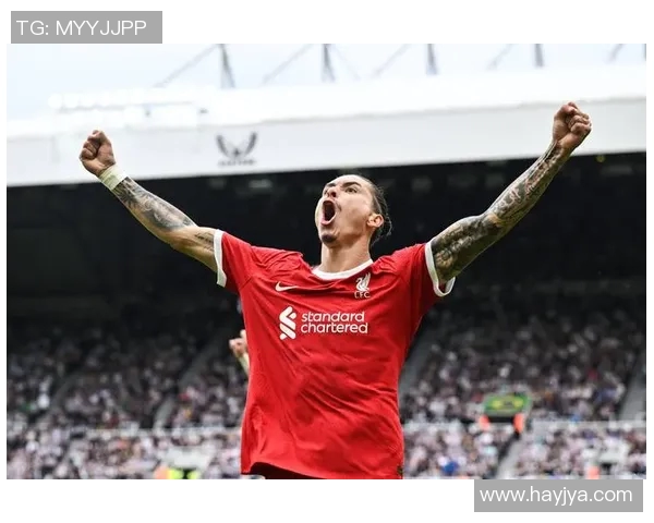 努涅斯在足球赛场的崛起与挑战解析及未来发展展望