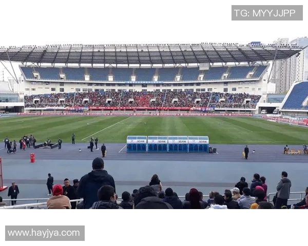 呼和浩特主场迎战北京北体全力争胜展现球队实力与斗志